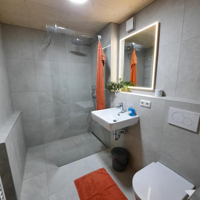 Bio-Bauernhof Vorderfromm - Two-Bedroom Apartment - 5