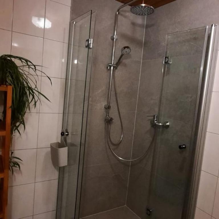 Bio-Bauernhof Vorderfromm - Two-Bedroom Apartment - 3