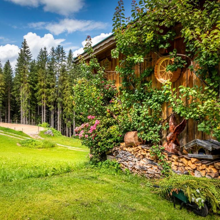 Panorama Chalet Höllmaishof - Chalet mit 2 Schlafzimmern - 33
