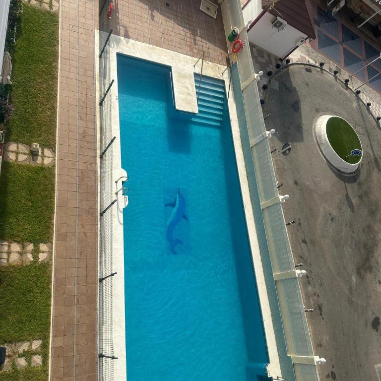 Carihuela Paradise Beach - Estudio - 15