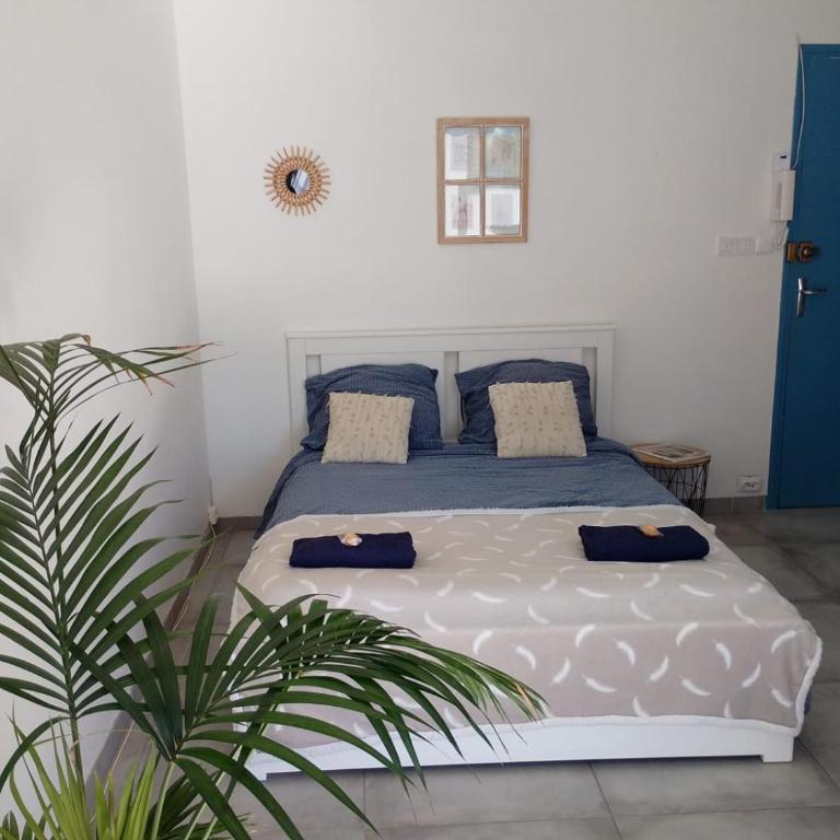 Cannes Pointe Croisette studio plage 2 min à Pieds - Appartement 1 Chambre - 4