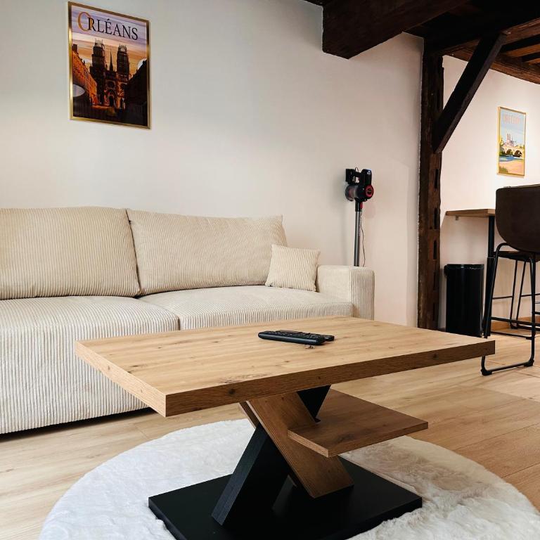 ORLEANS CENTRE HISTORIQUE - Charmant T2 - L'EVASION ORLEANAISE - Appartement 1 Chambre - 13