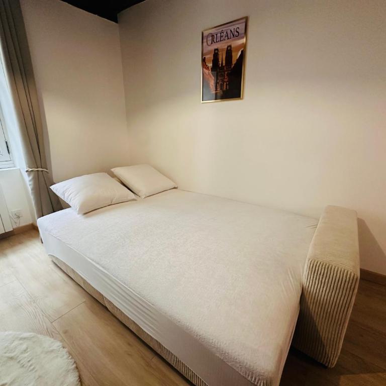 ORLEANS CENTRE HISTORIQUE - Charmant T2 - L'EVASION ORLEANAISE - Appartement 1 Chambre - 9
