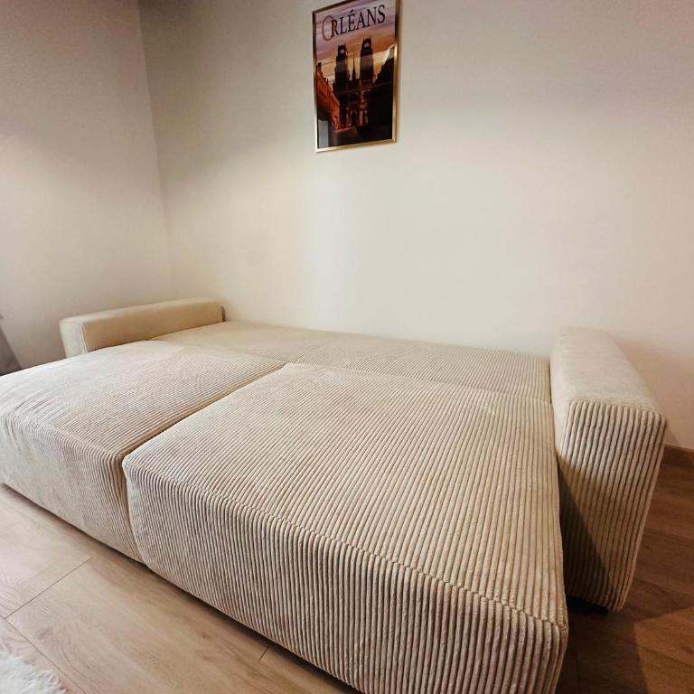 ORLEANS CENTRE HISTORIQUE - Charmant T2 - L'EVASION ORLEANAISE - Appartement 1 Chambre - 8