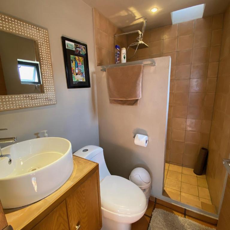 Urban Hacienda downtown, tranquil, spacious, jacuzzi - Casa de 5 dormitorios - 15