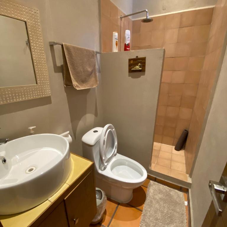 Urban Hacienda downtown, tranquil, spacious, jacuzzi - Casa de 5 dormitorios - 18