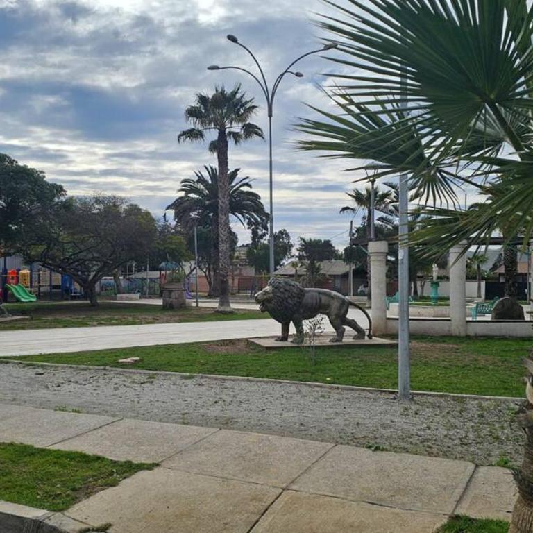 Departamento en La Herradura - One-Bedroom Apartment - 4