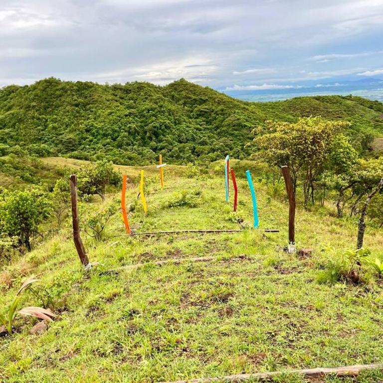 Finca El Mirador - Agroturismo - Chalet de 2 dormitorios - 22