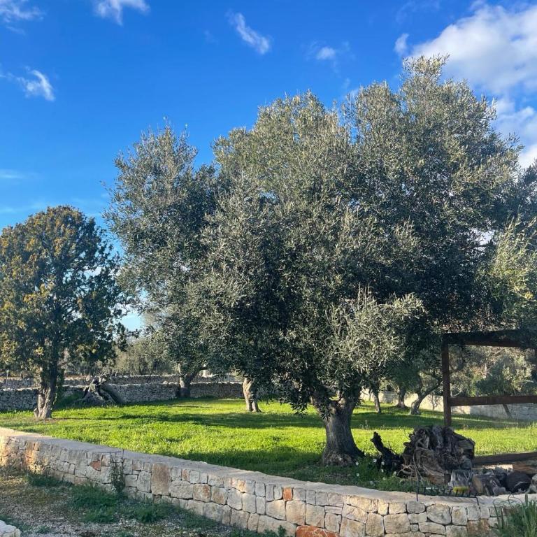 Villa Magis - Villa - 46
