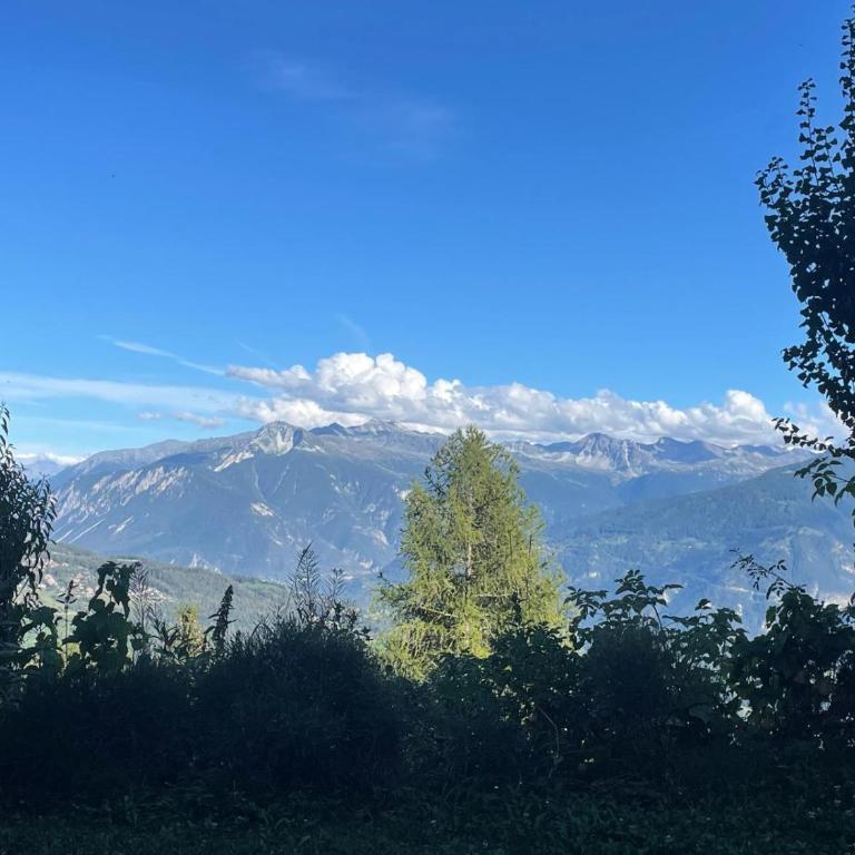 Tiny House facing the Alps - Ski in, Ski out - Chalet - 27