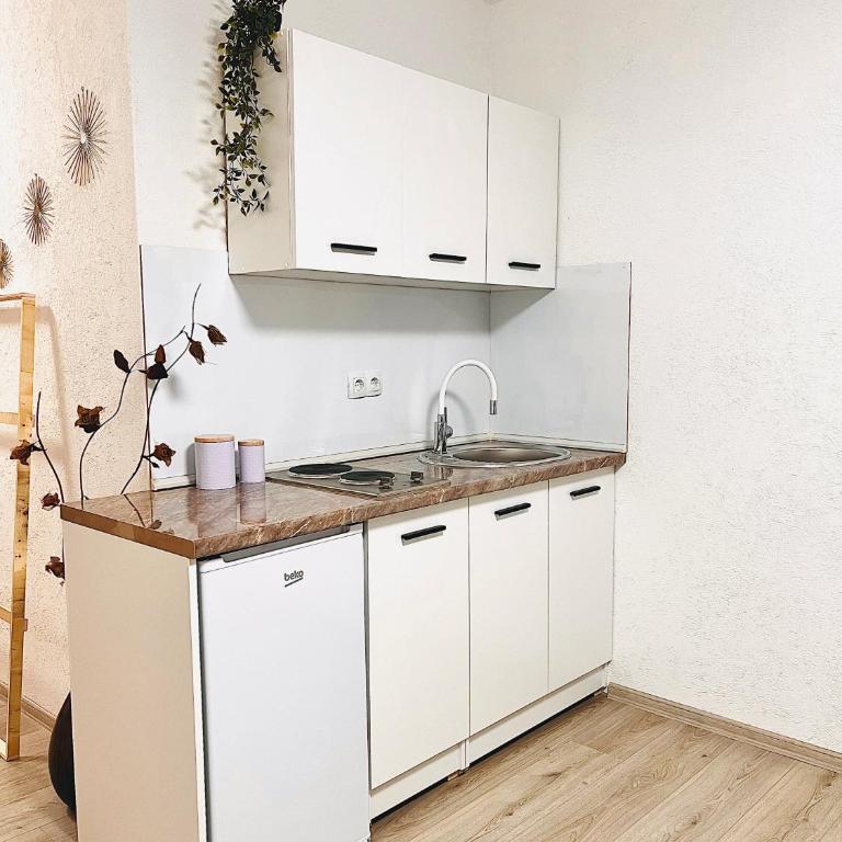 EFESA Apartments - Apartman sa 1 Spavaćom Sobom - 18
