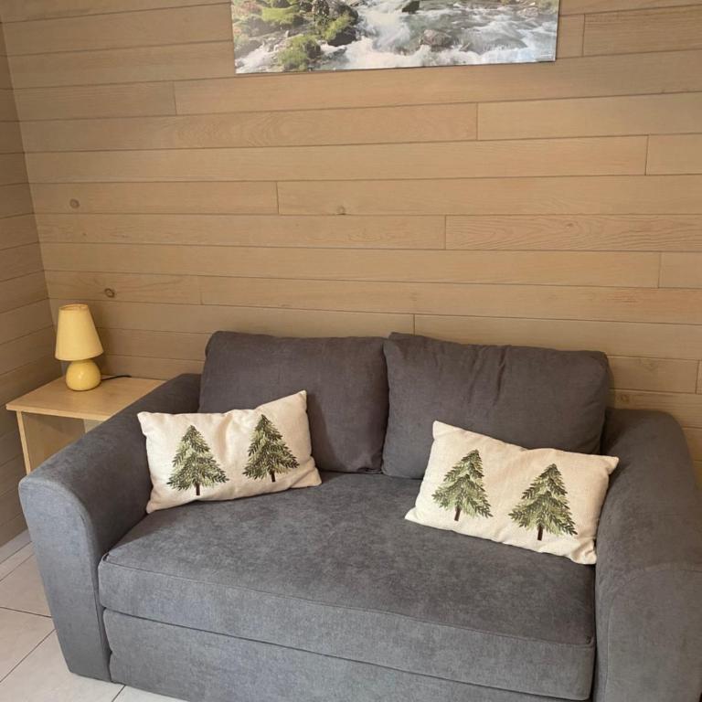 Appartement au centre ville. - Appartement 1 Chambre - 2