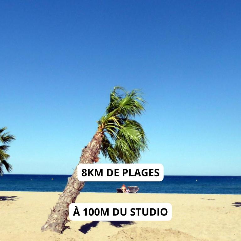 Appartement à 100M de la plage - Terrasse & Parking Privé - Apartment mit 1 Schlafzimmer - 14