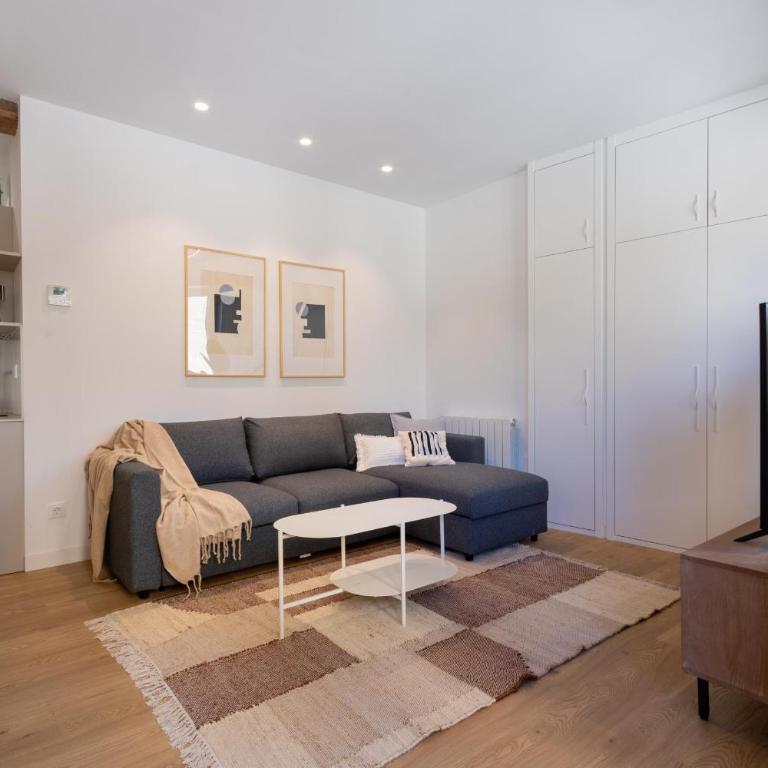 Daniela's Lovely Apartment Aire y Wifi by Apartamentos Logrono - Apartamento de 3 dormitorios Premium - 29