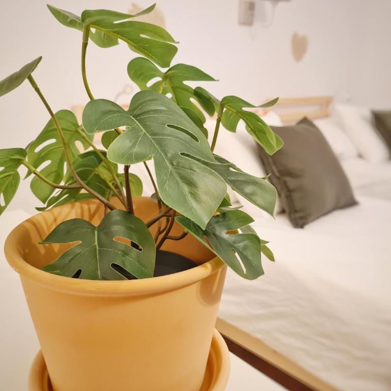 Casa Bella Locarno - Appartamento Superior con 3 Camere da Letto - 13