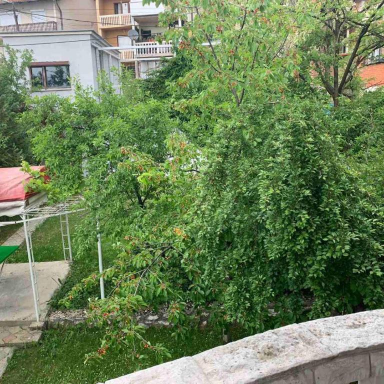 Villa Sunny side Sarajevo - Vila sa Pogledom na Vrt - 15