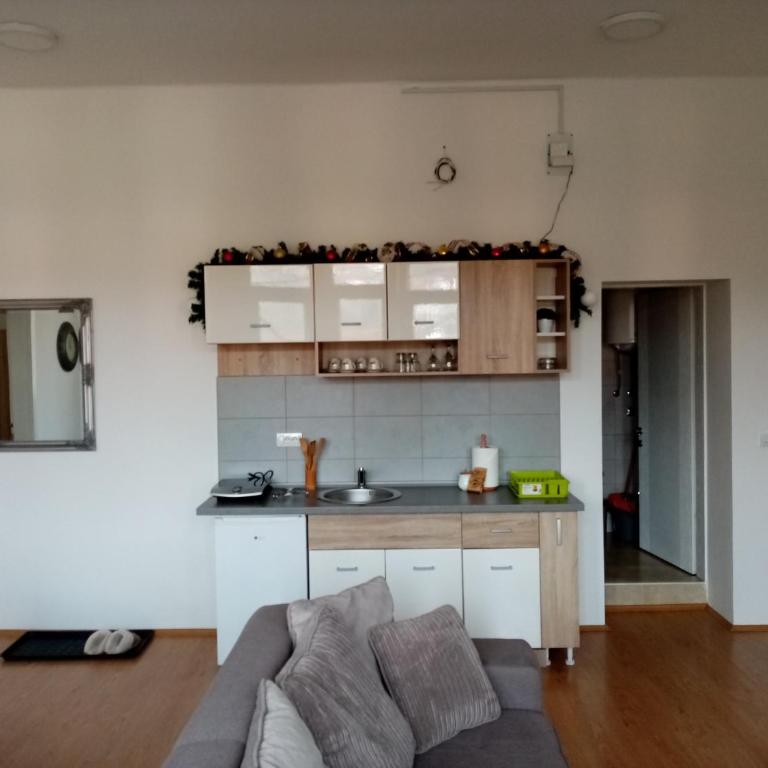 Apartmani MIDUĆI - One-Bedroom Apartment - 19