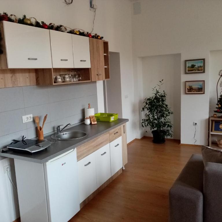 Apartmani MIDUĆI - One-Bedroom Apartment - 23