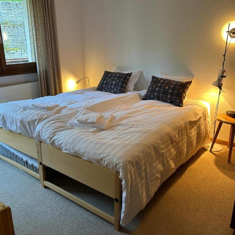 MP24 Ski in, out apartment on slopes with indoor private parking space - Apartment mit 3 Schlafzimmern - 18