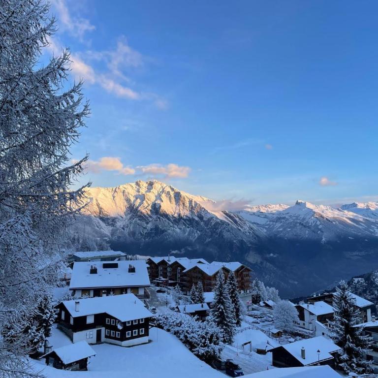 MP24 Ski in, out apartment on slopes with indoor private parking space - Apartment mit 3 Schlafzimmern - 2