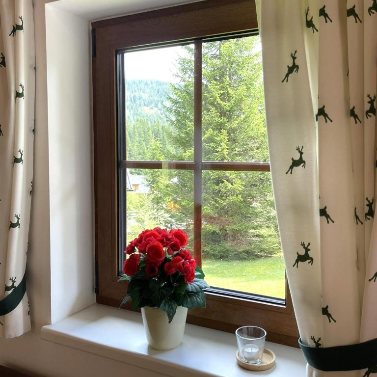 Almhütte-Flattnitz - Chalet mit 2 Schlafzimmern - 12
