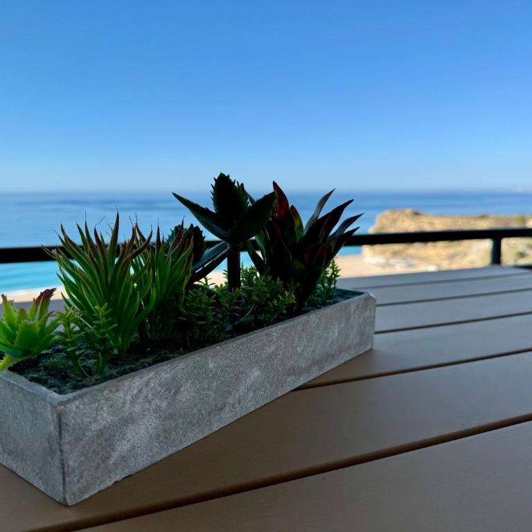 Paraíso a orillas del mar Mediterráneo, 18 - Apartamento de 3 dormitorios - 19