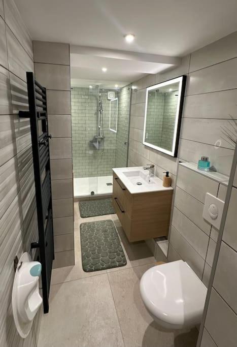 Le Briand Appartement 4étoiles Nancy Thermal Cosy avec Terrasse Wifi - Appartement 1 Chambre - 11