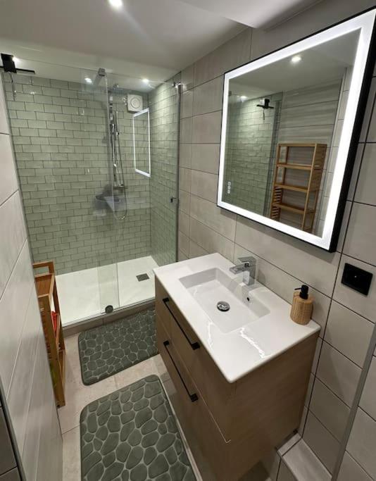 Le Briand Appartement 4étoiles Nancy Thermal Cosy avec Terrasse Wifi - Appartement 1 Chambre - 24