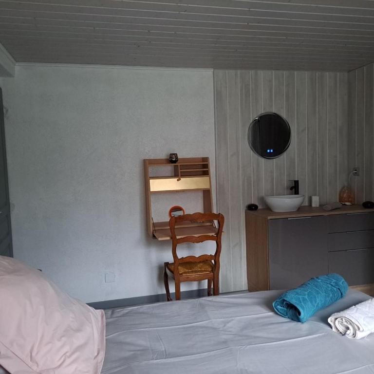 Chez Patrick et Dominique - Appartement 1 Chambre - 13