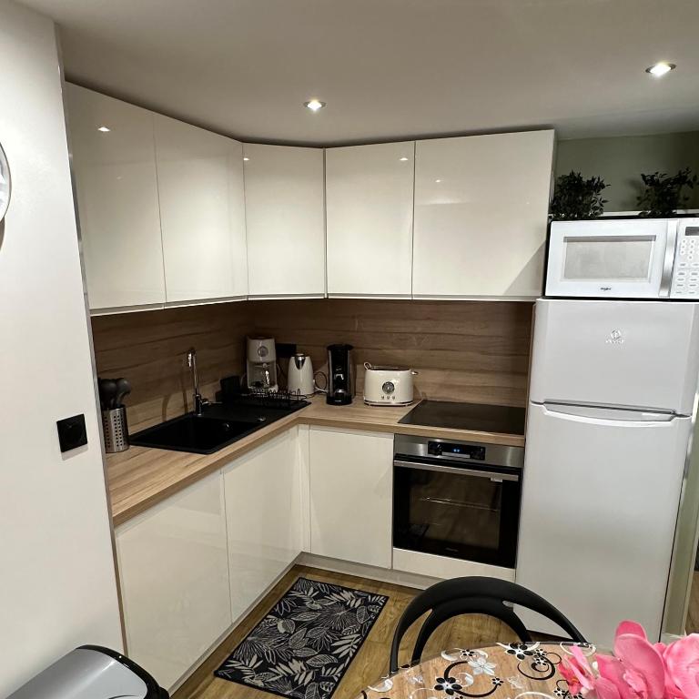 Le Briand Appartement 4étoiles Nancy Thermal Cosy avec Terrasse Wifi - Appartement 1 Chambre - 8