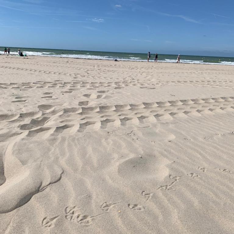 EMMA - Appart familial en RDC avec Garage à 2 min à pieds de la plage de Berck - Two-Bedroom Apartment - 25