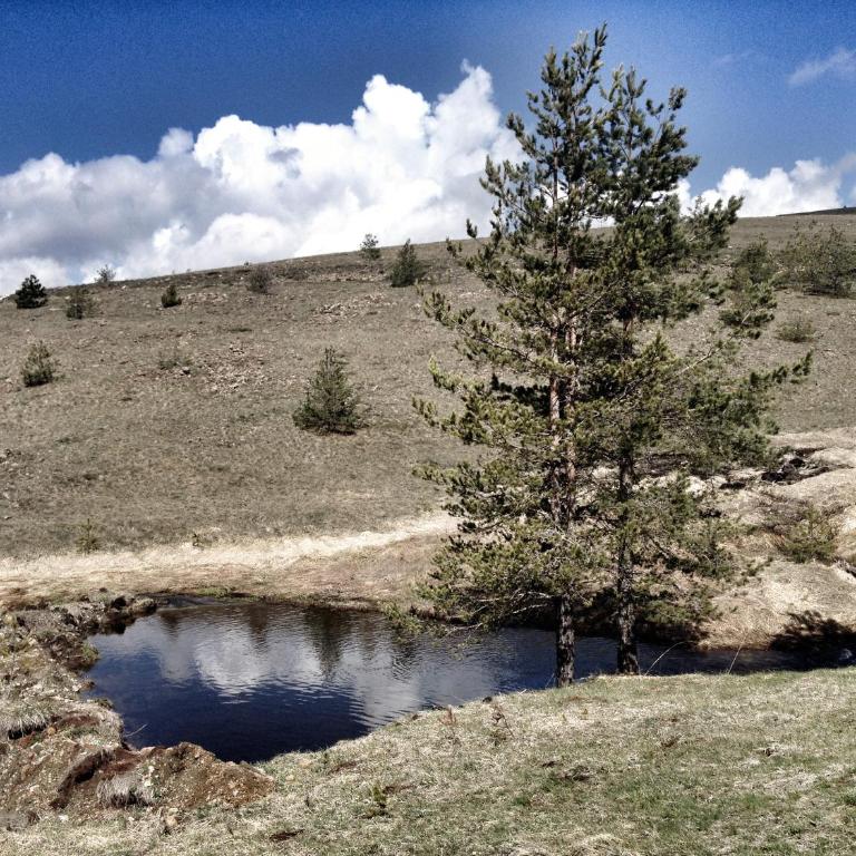 Previja Zlatibor Chalet - Brvnara sa 1 Spavaćom Sobom - 34