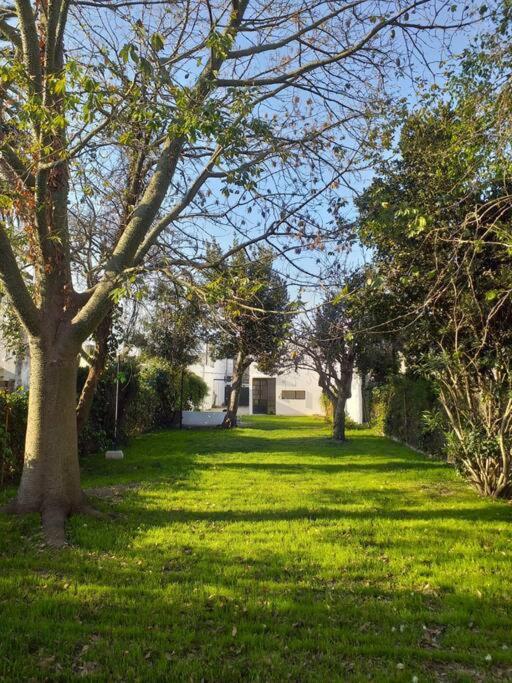 Casa luminosa con jardín arbolado y garage - Casa de 2 dormitorios - 11