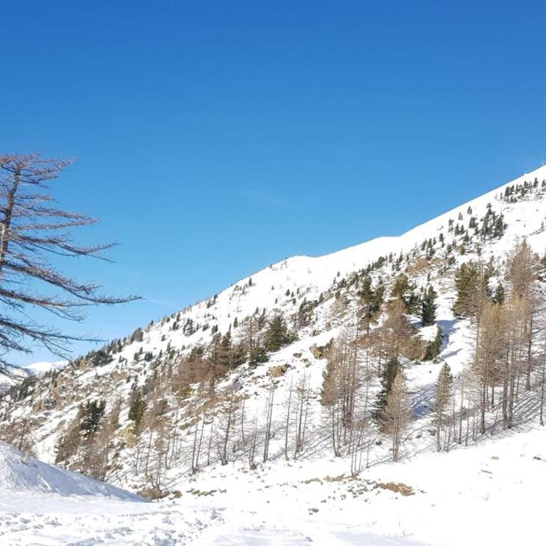 Neige et confort - Appartement - 16