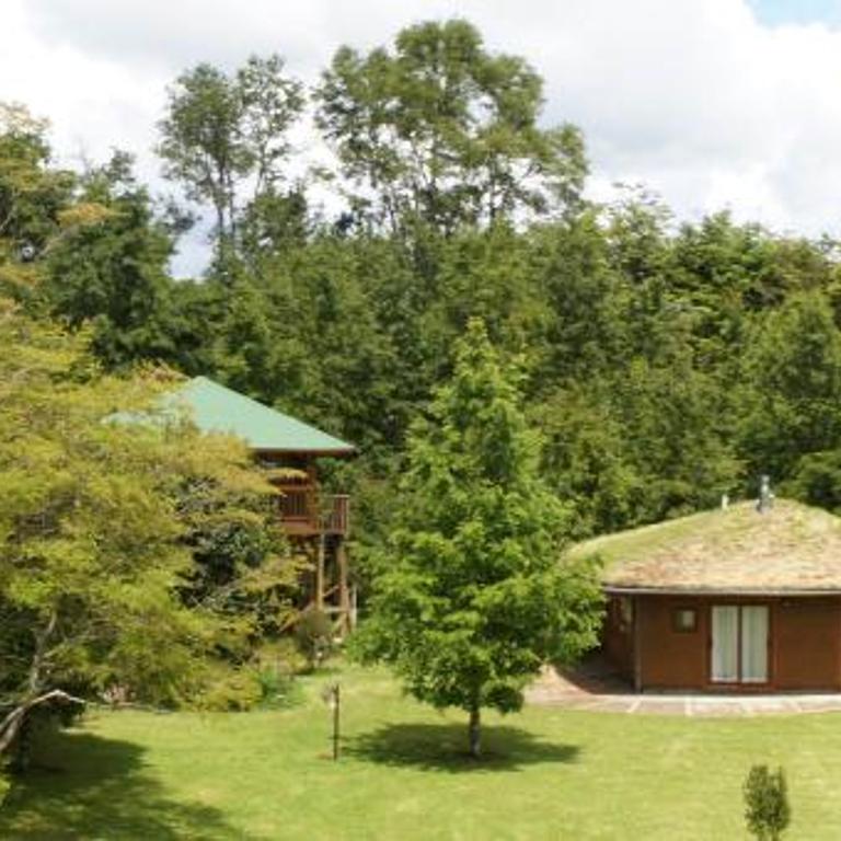 Complejo Cabañas Quilamalen - Bungalow de 3 dormitorios - 6