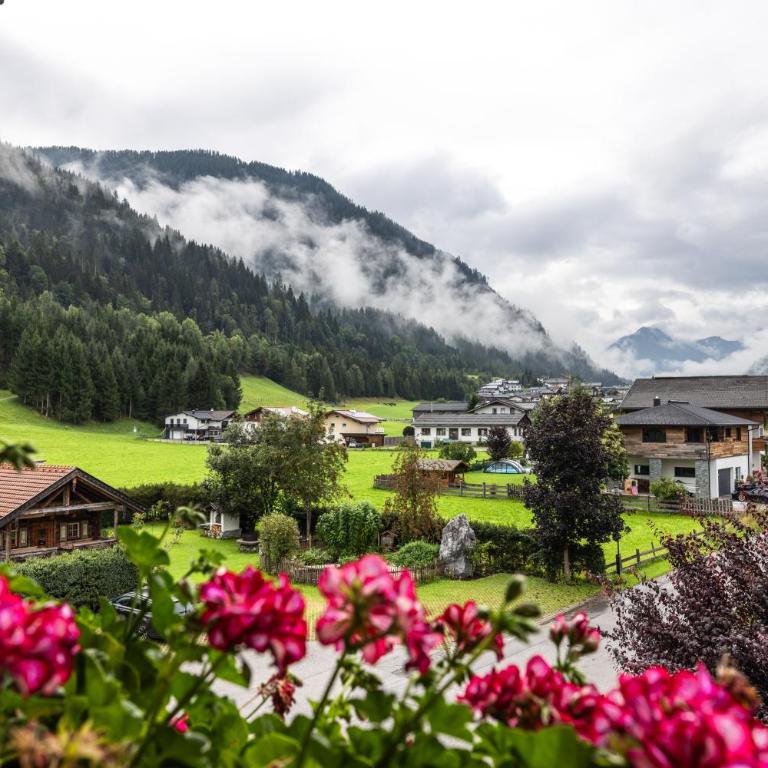 Haus Roswitha - Studio mit Bergblick - 9