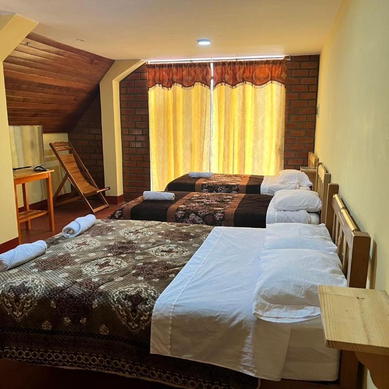 Hospedaje Andrea - Standard Twin Room - 1