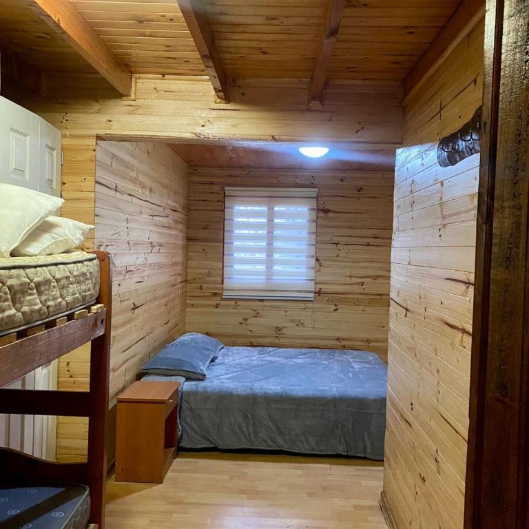 Cabaña Radal Siete Tazas - Casa de 3 dormitorios - 24