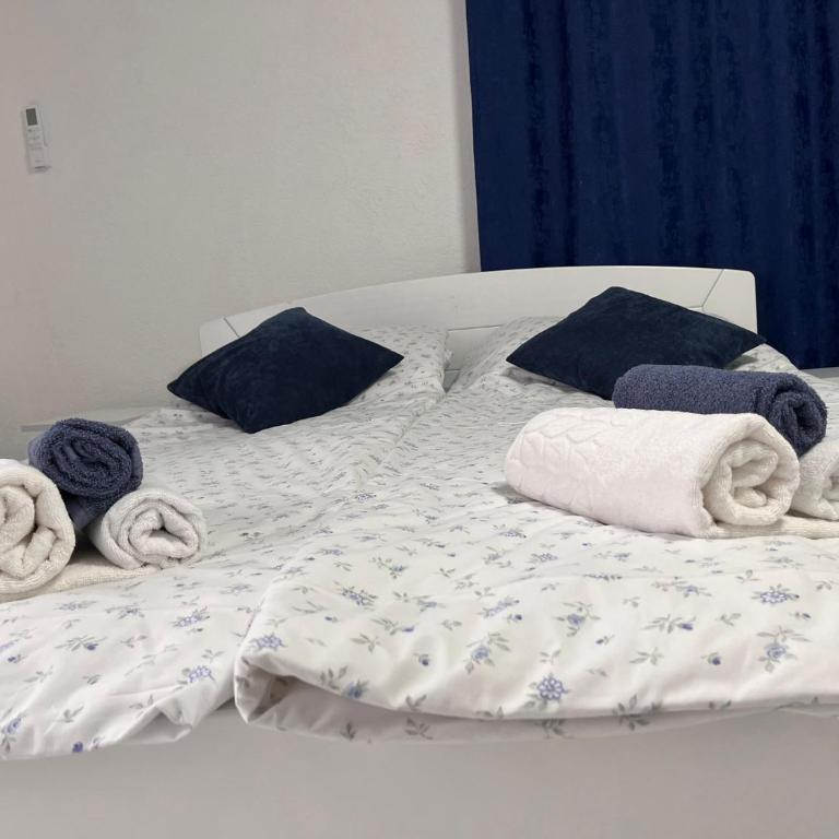 EFESA Apartments - Deluks Dvokrevetni Studio sa Bračnim Krevetom - 14
