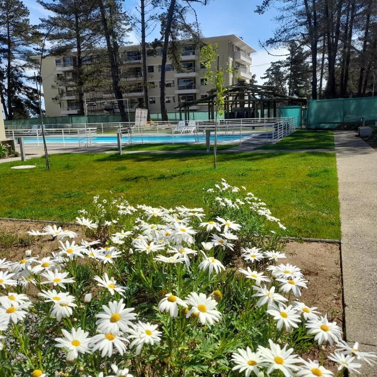 Amplio departamento Parque Mar El tabo - Three-Bedroom Apartment - 1