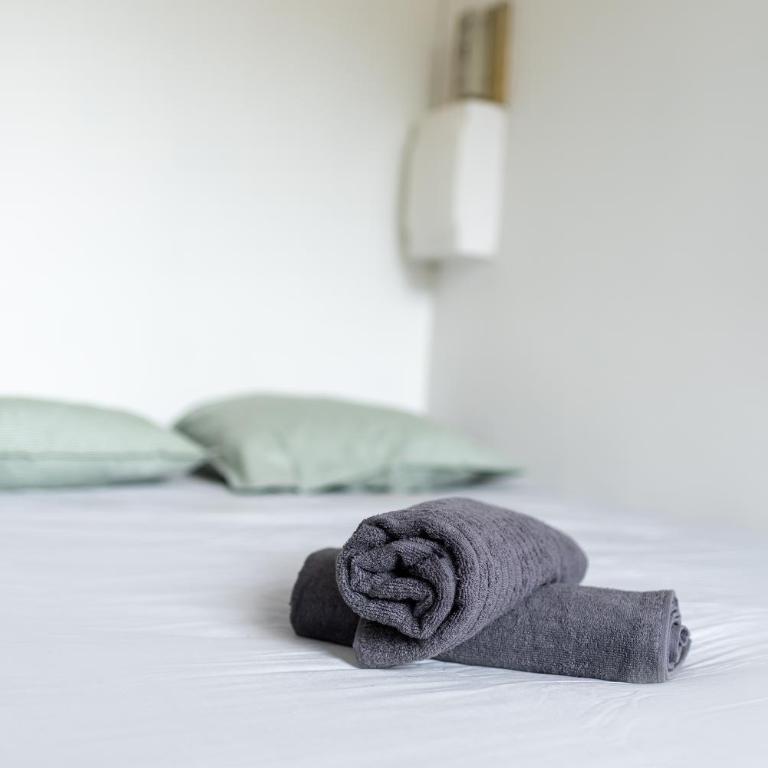 Le verdoyant - studio au coeur de Toulouse - Appartement 1 Chambre - 9
