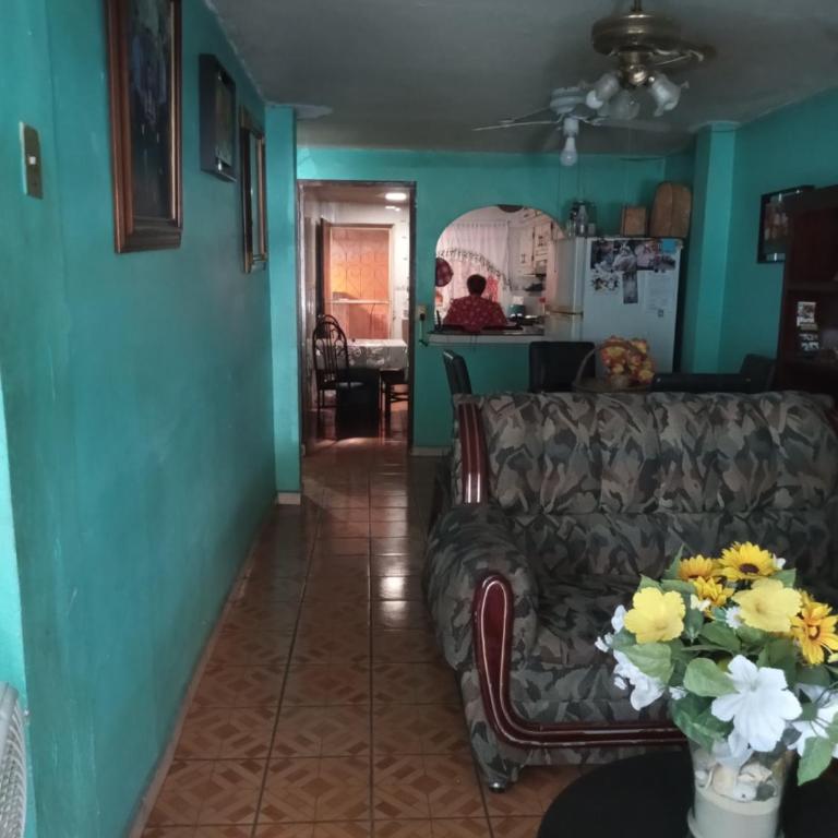 hacienda los tulipanes - One-Bedroom House - 1