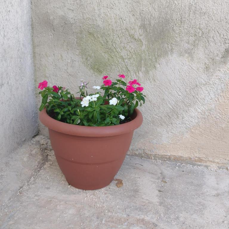 Turquoise Comfort Haven - Casa Unifamiliar de 2 dormitorios - 8