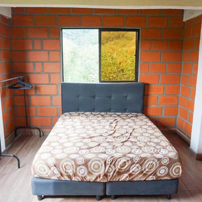 Retro Finca Urrao - Peaceful Avocado Farm Retreat - Five-Bedroom House - 38