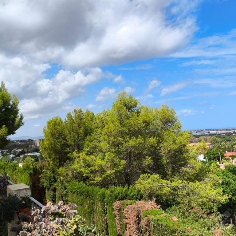 Apartemento Monika Monte Pedrera C 5 TOP Aussicht - Apartamento de 2 dormitorios - 14