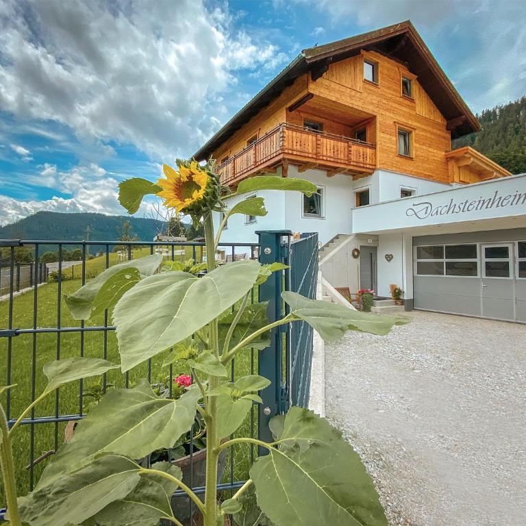 Ferienhaus Dachsteinheim - Haus mit 7 Schlafzimmern - 35