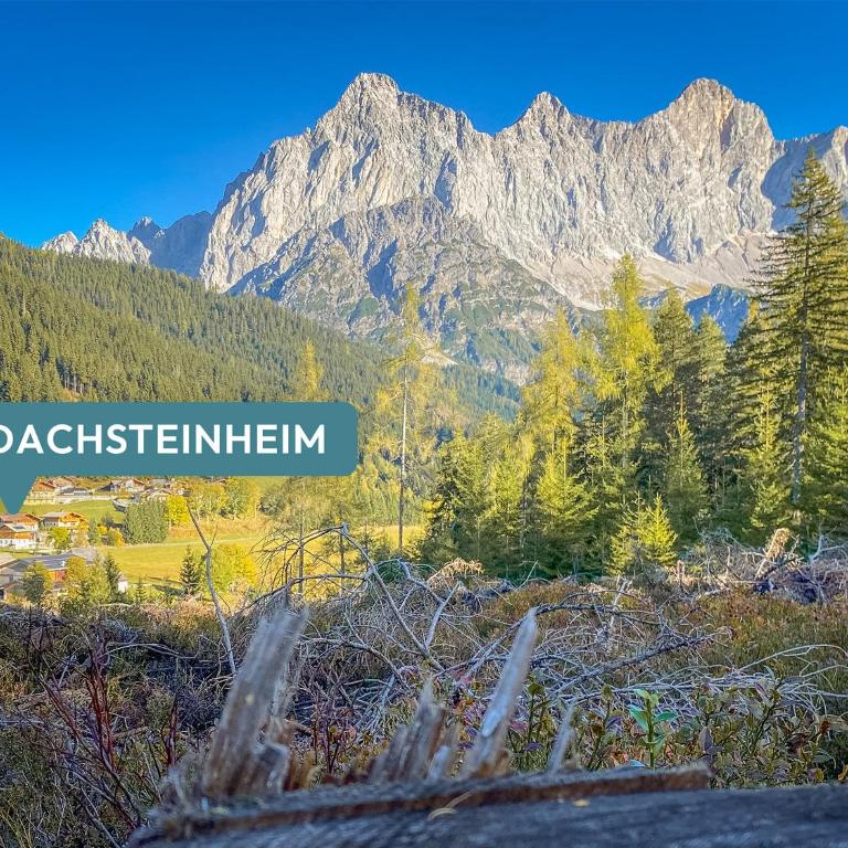 Ferienhaus Dachsteinheim - Haus mit 7 Schlafzimmern - 2