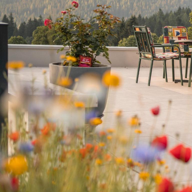 Ferienhaus Dachsteinheim - Haus mit 7 Schlafzimmern - 33