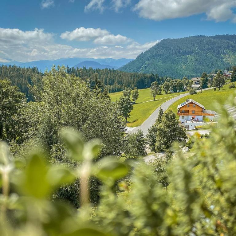 Ferienhaus Dachsteinheim - Haus mit 7 Schlafzimmern - 25