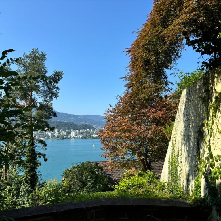 Luzern See - Apartment mit 1 Schlafzimmer - 1